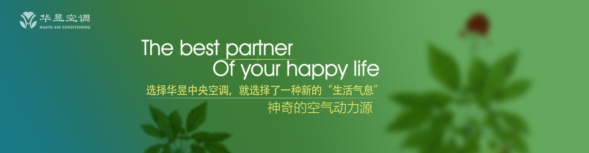 目不暇给网